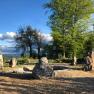Stone circle in a forest clearing at sunset.