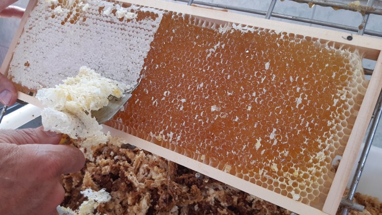 Eine Hand entdeckelt mit einem Werkzeug eine Honigwabe.