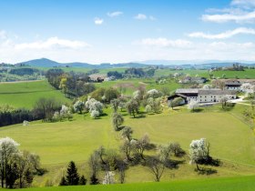 Schloss Krumbach Strecke, © Wiener Alpen in Niederösterreich