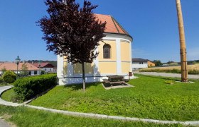 Runde Kirche mit gelber Fassade, umgeben von grüner Wiese und Bäumen, bei sonnigem Wetter.