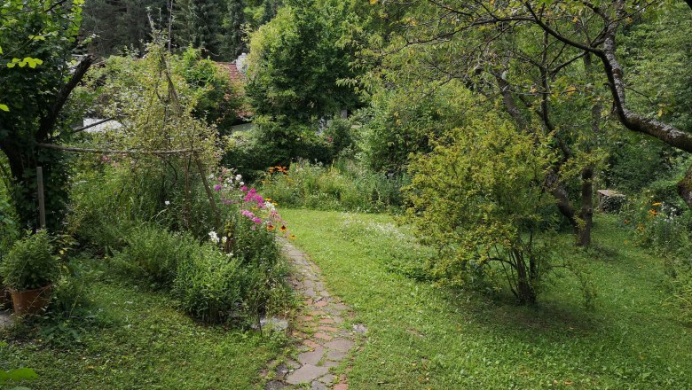 Ein grüner Garten mit Bäumen, Blumen und einem gepflasterten Weg.