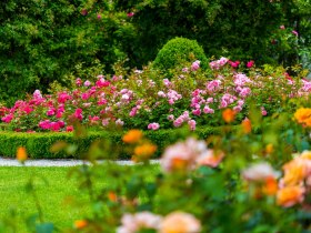 Rosengarten in Pitten, &copy; Wiener Alpen in Nieder&ouml;sterreich - Bad Erlach