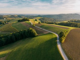 Landschaft bei Hattmannsdorf, &copy; Wiener Alpen, Roman K&ouml;nigshofer Photography