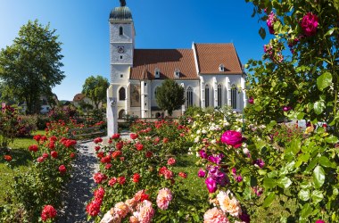 Duftrosengarten in  Kirchschlag, © Wiener Alpen, Walter Strobl