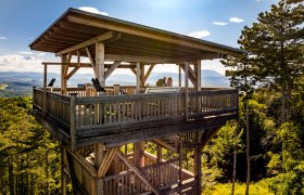 Wooden observation tower in the forest with two people on the platform.