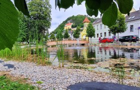 Ein Teich mit Kieselsteinen und Schilf, im Hintergrund eine Brücke und bunte Gebäude.