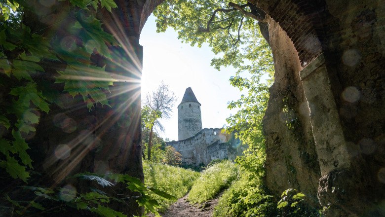 Blick durch ein Burgtor auf eine Burg mit Turm, umgeben von Bäumen und Sonnenstrahlen.