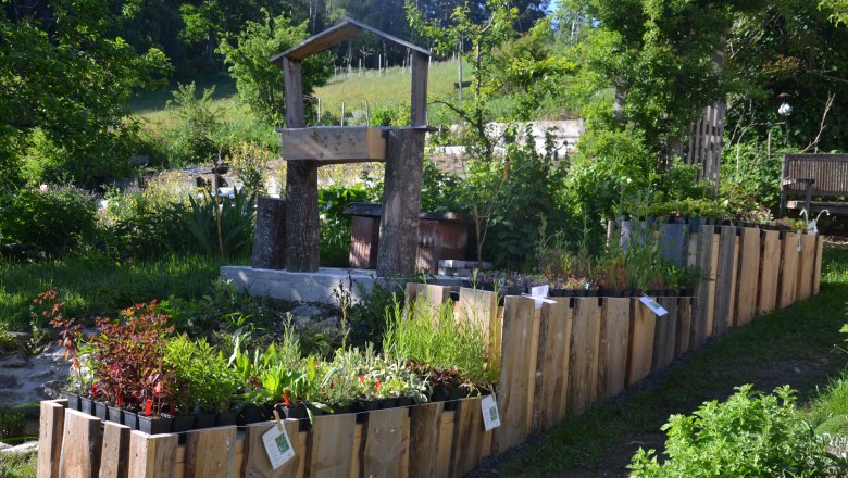 Ein Naturgarten mit Holzbeeten und Pflanzen in einem sonnigen, grünen Umfeld.