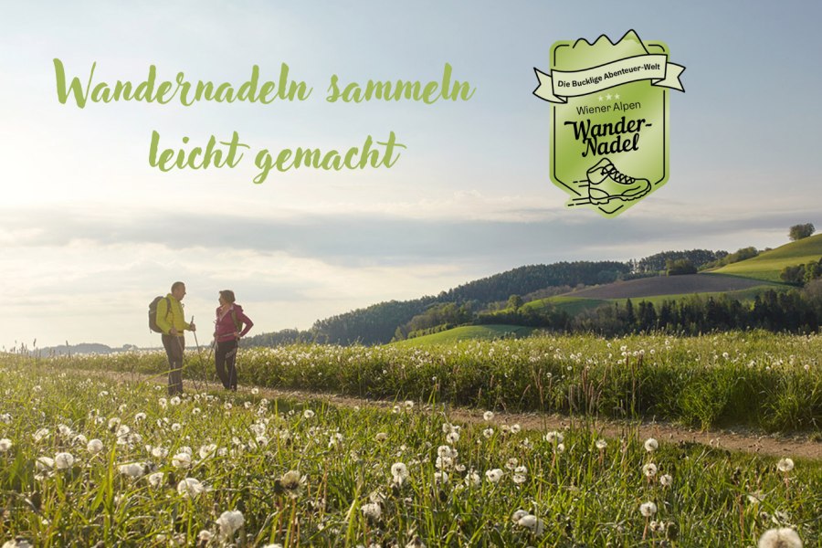 Wandernadel, © Wiener Alpen, Florian Lierzer