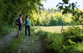 Wandern in der Buckligen Welt, © Wiener Alpen / Florian Lierzer