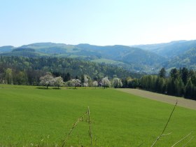 Wandern mit Aussicht in Edlitz | Bucklige Welt, &copy; Wiener Alpen in Nieder&ouml;sterreich - Bad Sch&ouml;nau