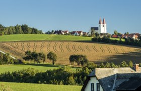 Landschaft mit den Spitzen der Wallfahrtskirche Maria Schnee und Feldern in Lichtenegg.
