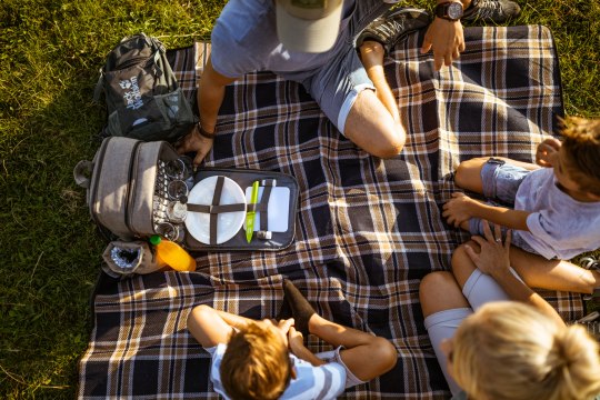 Picknicken mit der Familie, © Wiener Alpen, Kremsl
