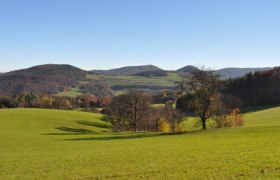 Hügelige Landschaft mit grünen Wiesen und Bäumen unter blauem Himmel.