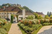 Rosengarten Kirchschlag, © Im Auftrag von Newman&amp; Co fotografie&amp; bildkonzept KG