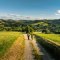 Zwei Wandernde auf einem Feldweg in grüner, hügeliger Landschaft, © Wiener Alpen in Niederösterreich - Bad Erlach