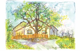 Aquarell eines traditionellen Heurigen mit B&auml;umen und Garten.