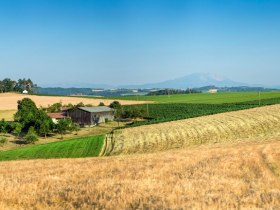 Beistein bei Wiesmath, &copy; Wiener Alpen in Nieder&ouml;sterreich