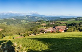 Ausblick von der Ebenhofer Höhe in Edlitz über die Hügellandschaft bis zum Schneeberg, © Wiener Alpen