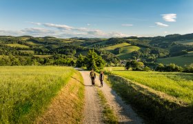 Zwei Personen wandern auf einem Schotterweg durch eine hügelige Landschaft mit grünen Feldern und Wäldern unter blauem Himmel.