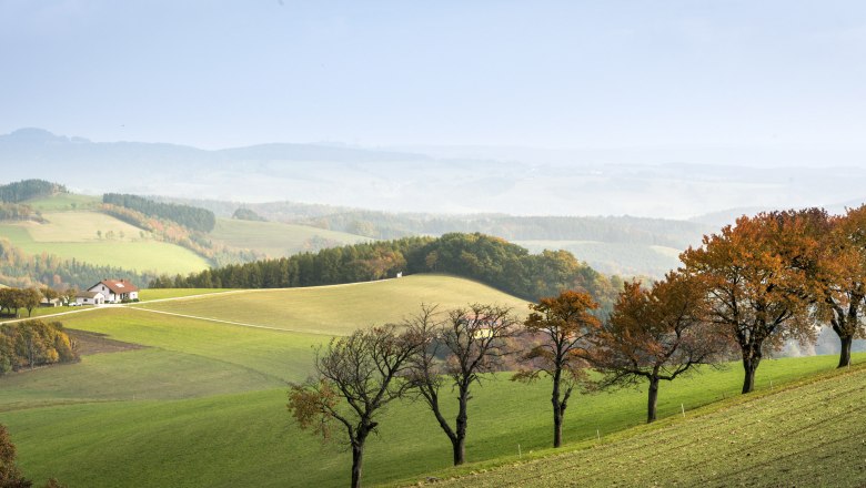 Herbst in der Buckligen Welt, © Wiener Alpen, Franz Zwickl