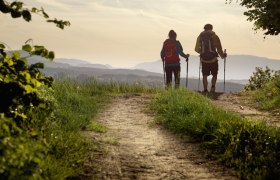 Wandern in der Buckligen Welt, © Wiener Alpen, Florian Lierzer