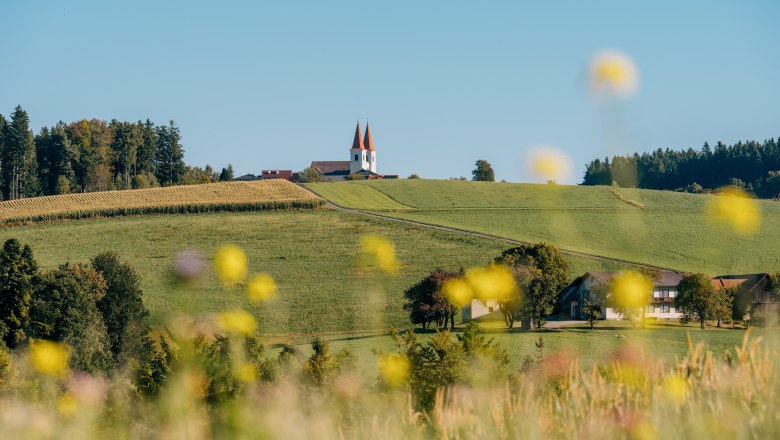 Landschaft mit Wallfahrtskirche mit zwei T&uuml;rmen und rotem Dach auf einem H&uuml;gel