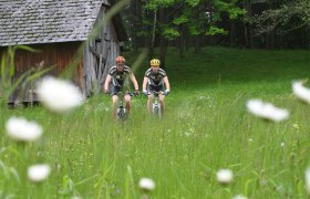 MTB Wiener Alpen, © Wiener Alpen in Niederösterreich