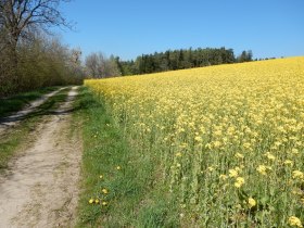 Wandern in Edlitz | Bucklige Welt, &copy; Wiener Alpen in Nieder&ouml;sterreich - Bad Sch&ouml;nau