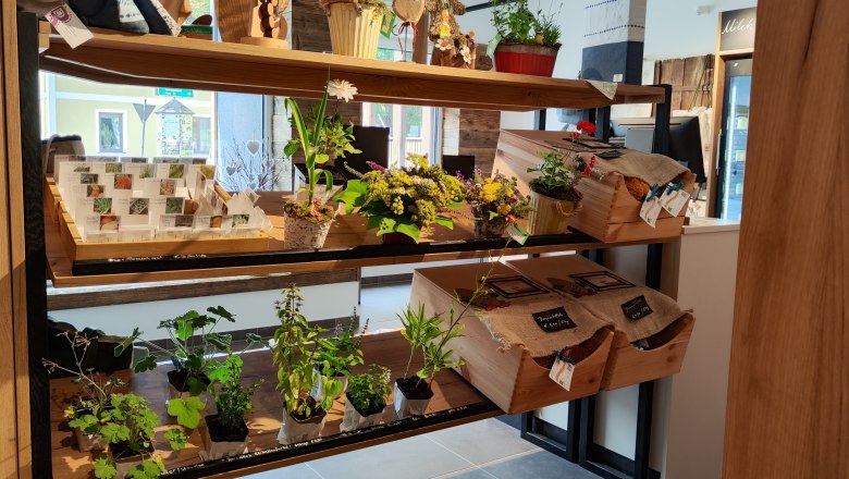 Regal mit Pflanzen und Samen in einem Dorfladen.