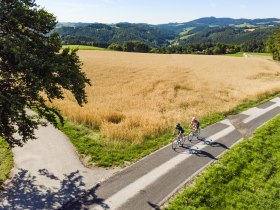 Rennradfahren in der Buckligen Welt, &copy; Wiener Alpen, Martin F&uuml;l&ouml;p
