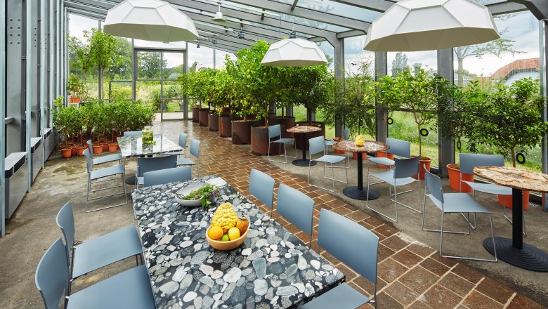 Innenansicht einer Orangerie mit Tischen, Stühlen und Pflanzen.