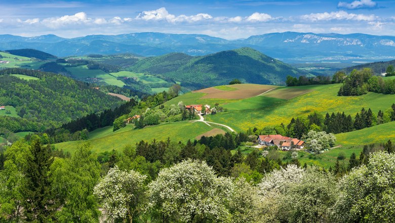 Landscape in spring, © Walter Strobl, www.audivision.at