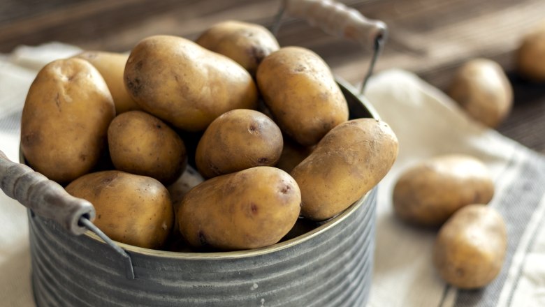 Ein Topf gefüllt mit Kartoffeln auf einem Tuch, im Hintergrund noch mehr Kartoffeln.