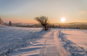 Winterwelt, © Wiener Alpen, Franz Zwickl