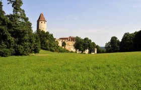Burg Seebenstein mit Turm und gr&uuml;ner Wiese im Vordergrund.