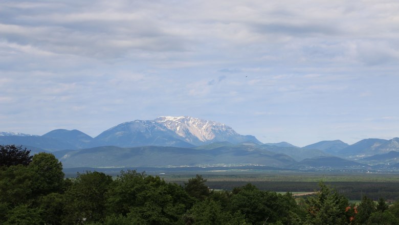 Ausblick auf eine Landschaft mit bewaldeten H&uuml;geln und einem schneebedeckten Berg  im Hintergrund.