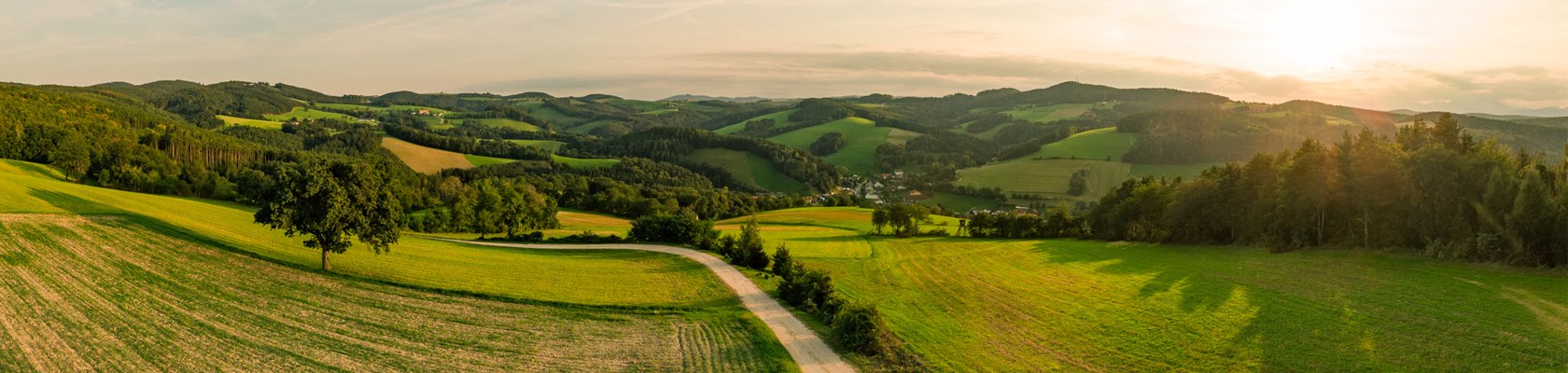 Panoramablick auf einen Abschnitt des Rosalia Rundwanderweges inmitten der 1000 Hügel der Buckligen Welt