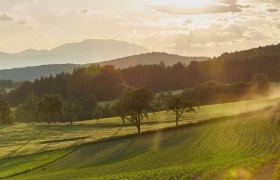 Blick in die Bucklige Welt, &copy; &copy;Nieder&ouml;sterreich-Werbung, Foto: Michael Liebert