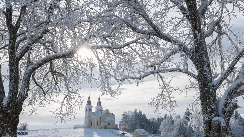 Winterlandschaft mit Wallfahrtskirche Maria Schnee im Hintergrund, umrahmt von schneebedeckten Bäumen.