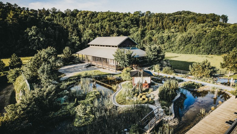 Luftaufnahme eines Zen-Gartens mit Pavillon und Teich, umgeben von Bäumen.
