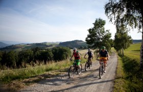 Mountainbiken in den Wiener Alpen, © ©Wiener Alpen, Foto: Thomas Bartl