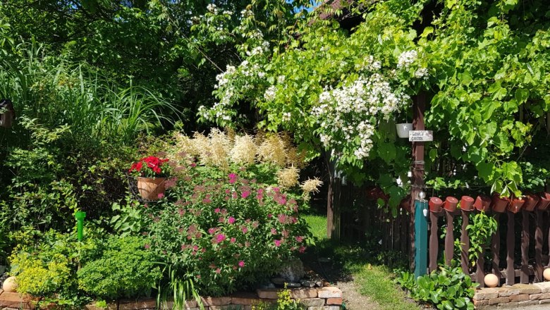 Ein bunter Garten mit bl&uuml;henden Str&auml;uchern und Stauden, umgeben von gr&uuml;nem Laub und einem Holzzaun.