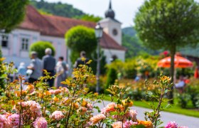 Rosengarten mit historischem Pfarrhof im Hintergrund