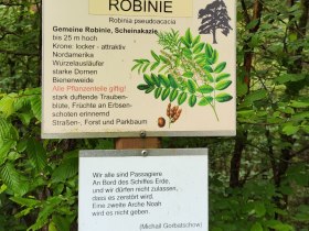 Kirchschlager Bienen- & Pflanzenlehrpfad, © Wiener Alpen in Niederösterreich