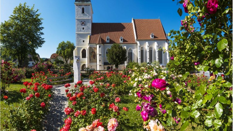 Wehrkirche in Kirchschlag mit blühendem Rosengarten im Vordergrund.