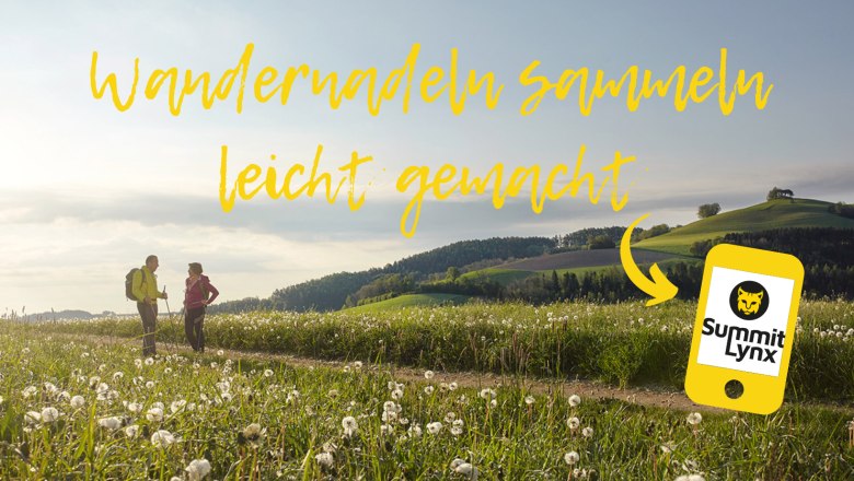 Wandernadeln sammeln, © Wiener Alpen, Florian Lierzer