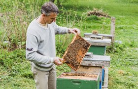 Ein Mann h&auml;lt eine Bienenwabe neben Bienenst&ouml;cken auf einer gr&uuml;nen Wiese.