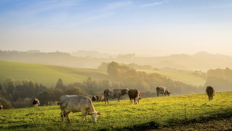 Herbstzeit genießen, © Wiener Alpen, Franz Zwickl