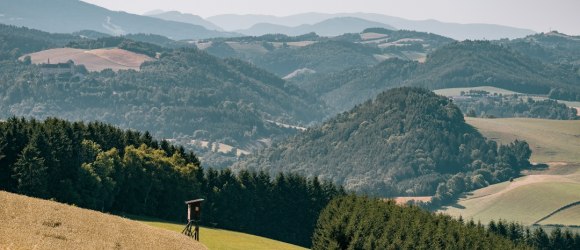Hügelige Landschaft in Bad Schönau mit Feldern und Wäldern, © Wiener Alpen